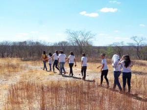 grupo-de-alunos-caminha-sobre-vegetação-rasteira