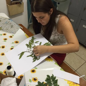 Projeto “Utilização de plantas medicinais no município” - Rio do Antônio (BA)
