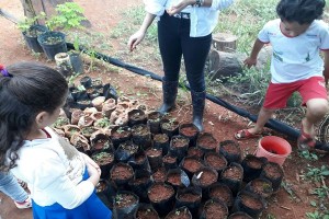 Estudantes e professora observam mudas plantadas