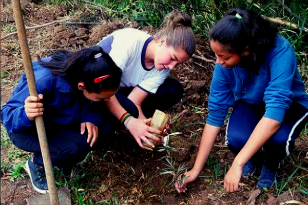 10 projetos de estudantes que estão preservando o Meio Ambiente