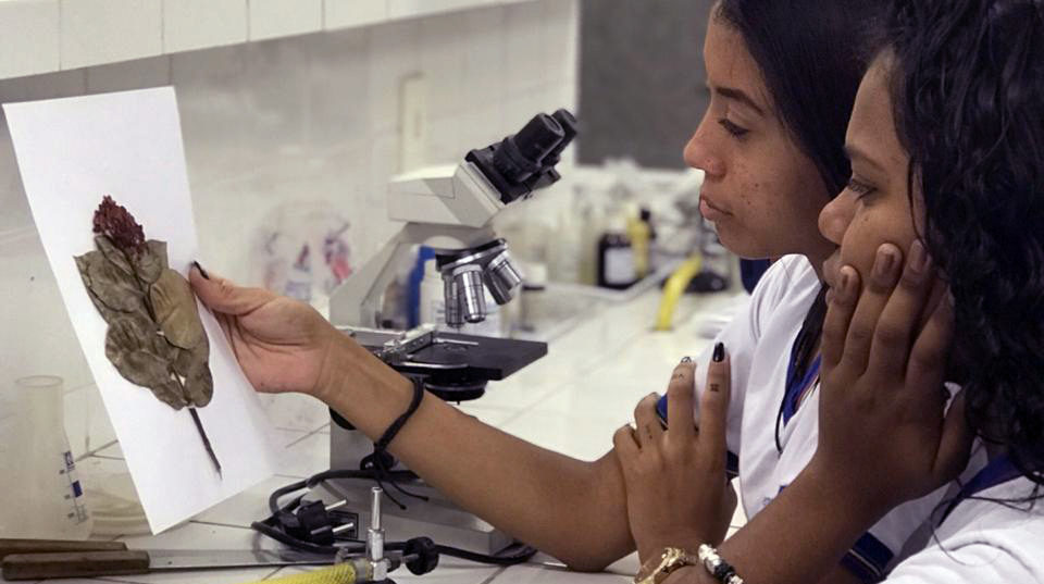 Duas jovens negras analisam uma planta em um laboratório de ciências