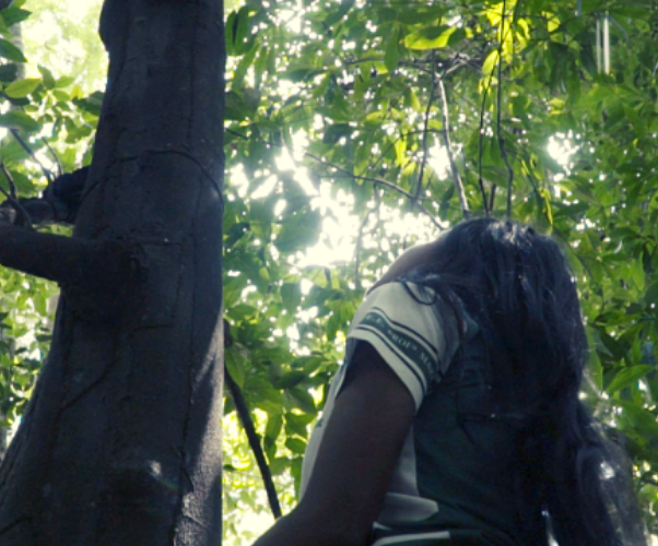 Foto de uma menina de cabelos lisos compridos e escuros olhando para a copa de uma árvore no meio da floresta